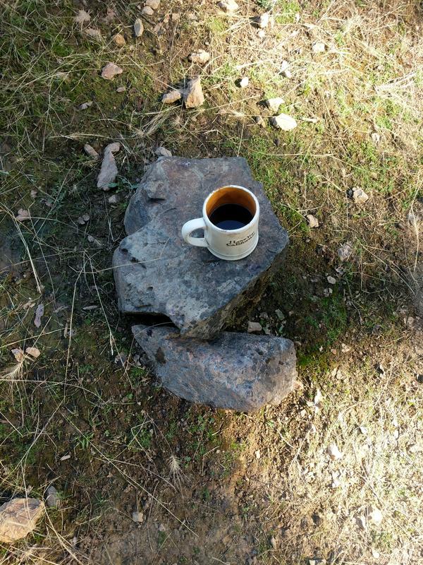 Jezra's coffee picture 2021-08-05