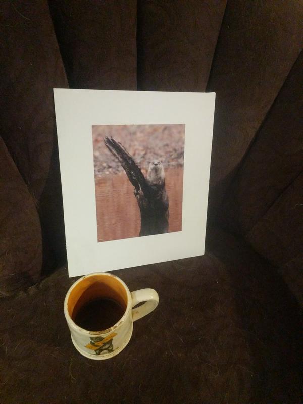 Jezra's coffee picture 2021-08-06
