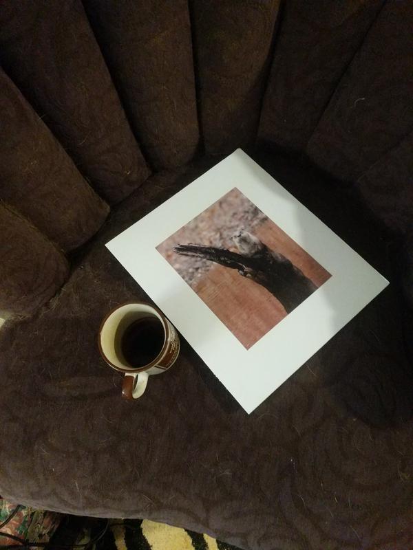 Jezra's coffee picture 2021-08-07