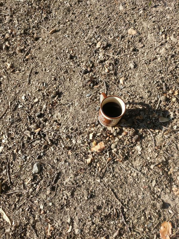 Jezra's coffee picture 2021-08-18