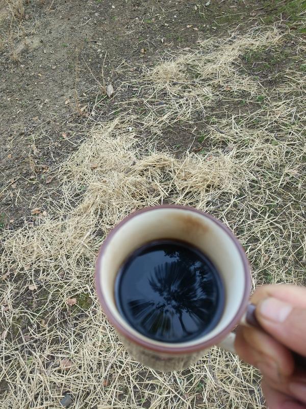 Jezra's coffee picture 2021-08-19