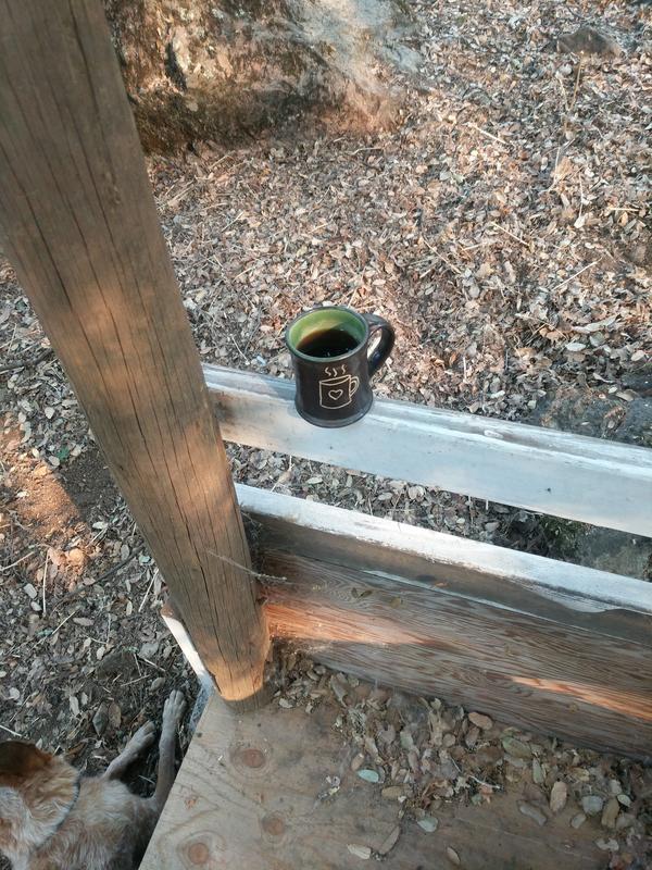 Jezra's coffee picture 2021-08-22