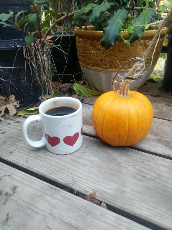 Jezra's coffee picture 2021-10-30