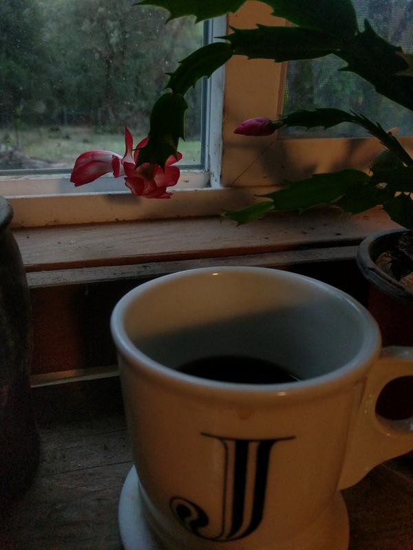 Jezra's coffee picture 2021-11-09