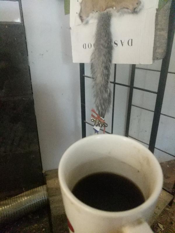 Jezra's coffee picture 2022-01-19