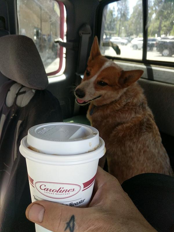 Jezra's coffee picture 2022-07-04