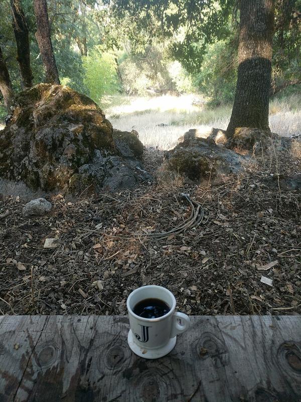 Jezra's coffee picture 2022-07-25