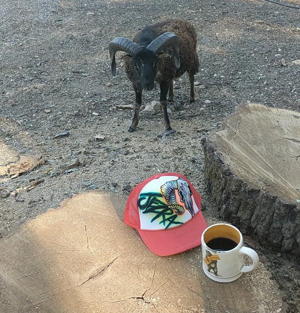 Jezra's coffee picture 2022-08-14
