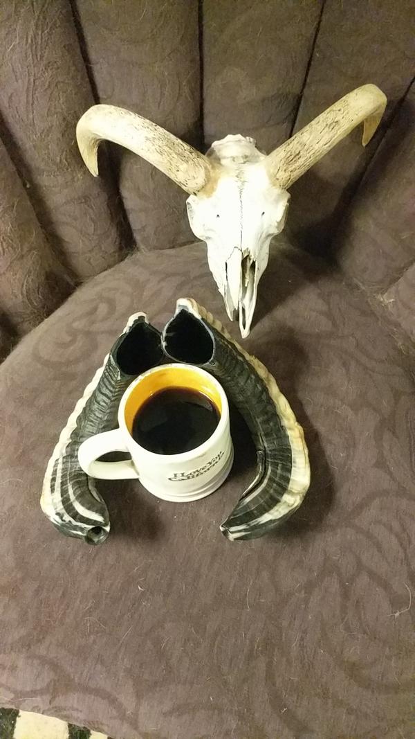 Jezra's coffee picture 2022-10-18
