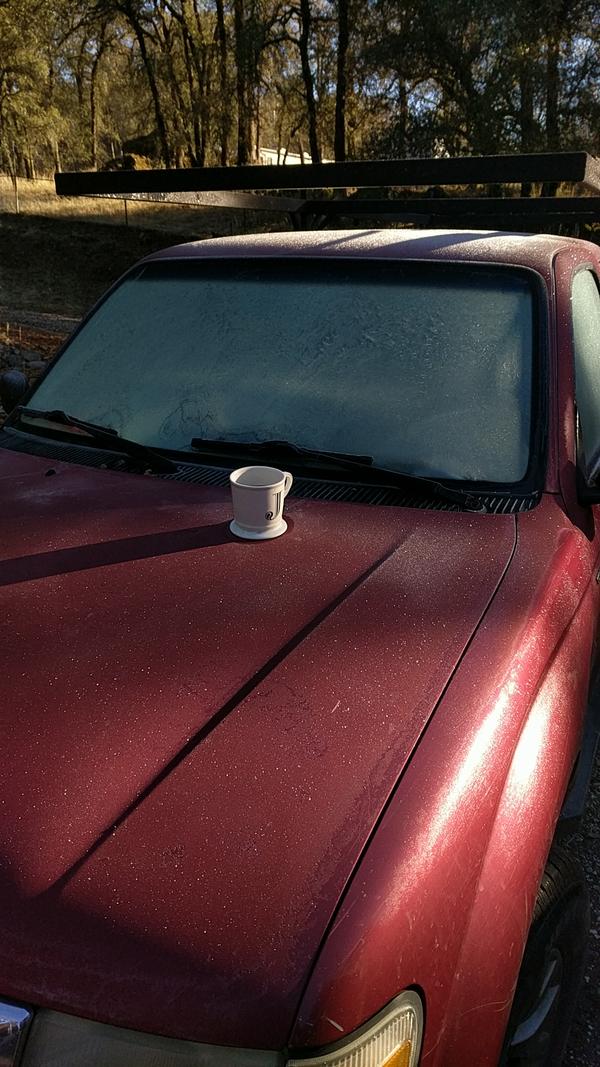Jezra's coffee picture 2022-11-10