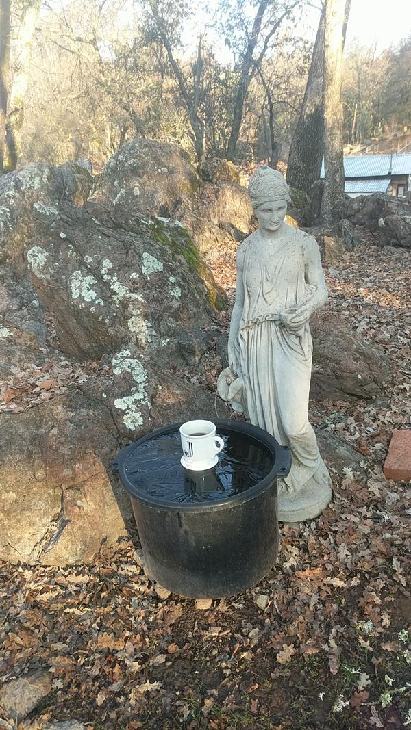 Jezra's coffee picture 2022-12-14