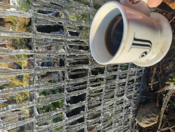Jezra's coffee picture 2022-12-15