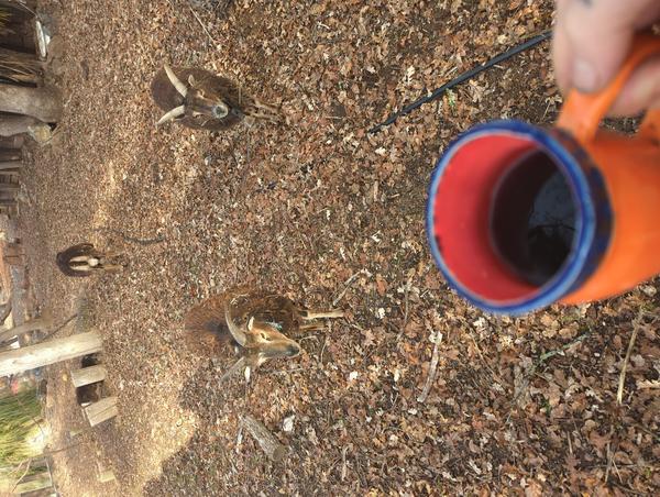 Jezra's coffee picture 2022-12-19