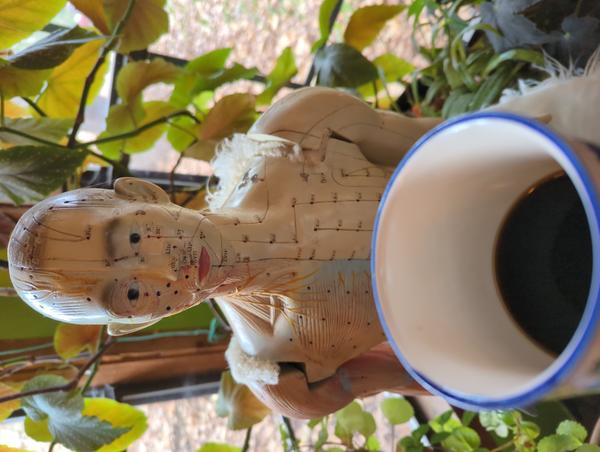 Jezra's coffee picture 2022-12-22