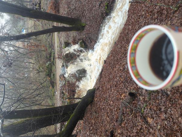 Jezra's coffee picture 2022-12-30