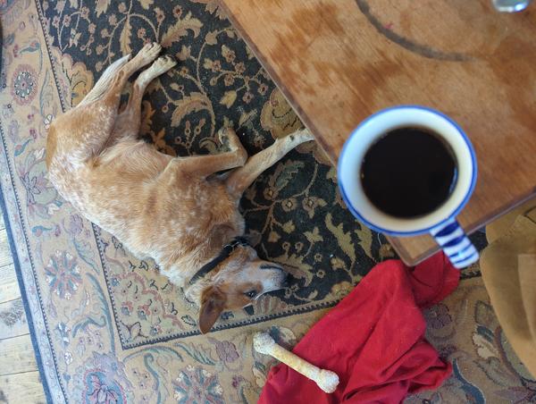 Jezra's coffee picture 2023-02-12
