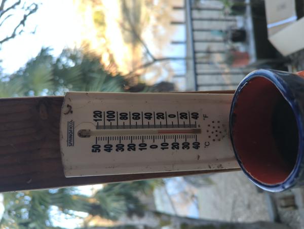 Jezra's coffee picture 2023-02-15