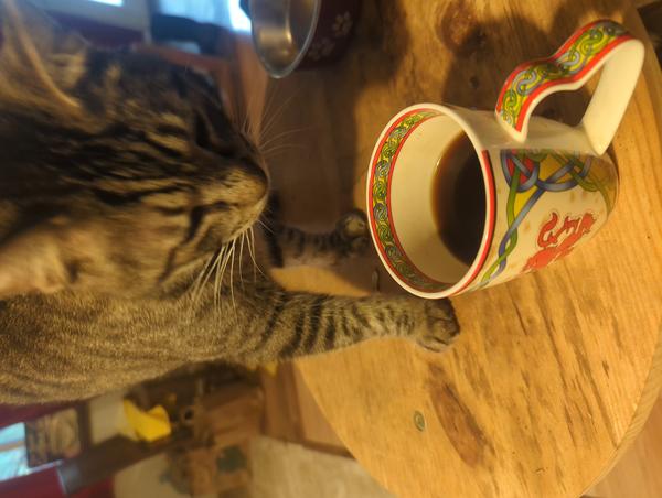 Jezra's coffee picture 2023-02-25