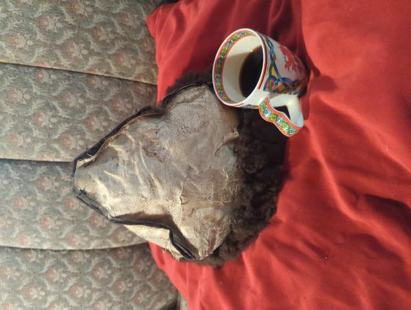 Jezra's coffee picture 2023-02-28