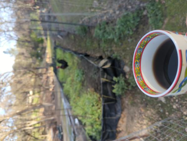 Jezra's coffee picture 2023-04-21