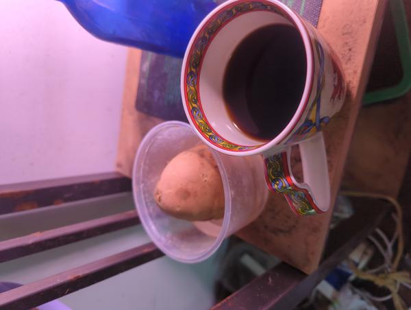 Jezra's coffee picture 2023-04-22