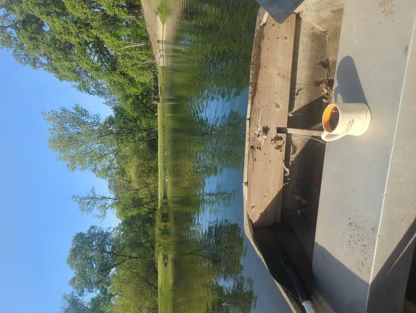 Jezra's coffee picture for 2023-05-09