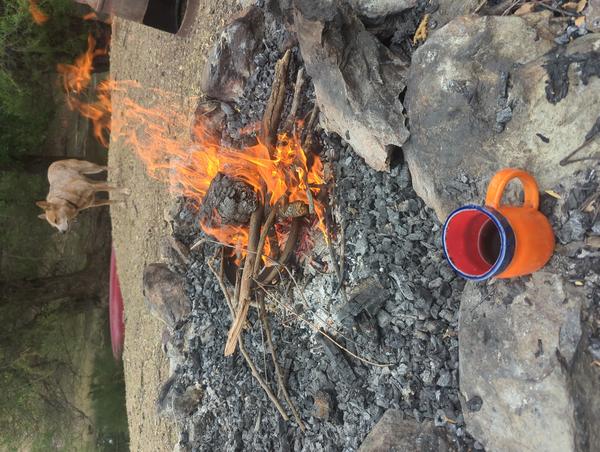 Jezra's coffee picture 2023-05-28