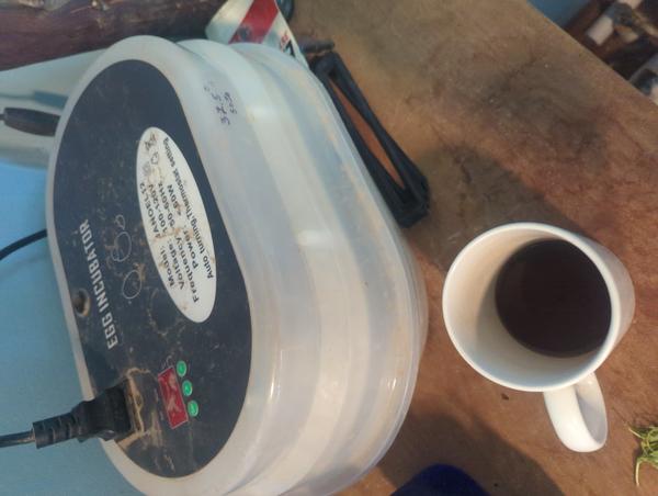 Jezra's coffee picture 2025-04-20