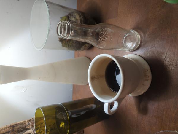 Jezra's coffee picture 2025-04-30