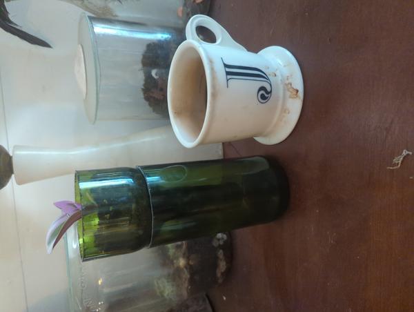 Jezra's coffee picture 2025-05-11
