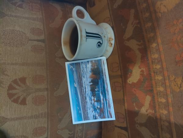 Jezra's coffee picture 2025-05-14