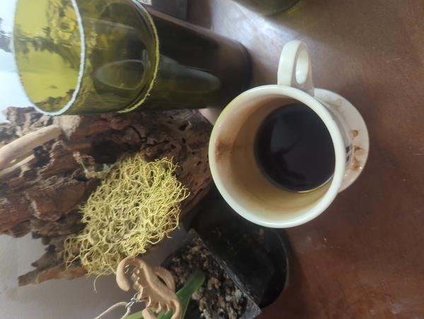 Jezra's coffee picture 2025-05-25