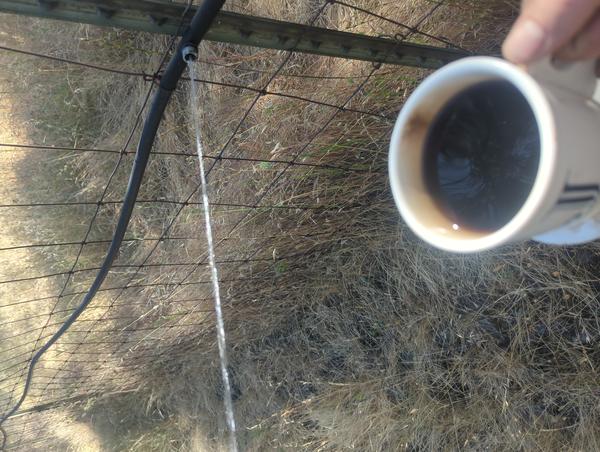 Jezra's coffee picture 2025-05-27