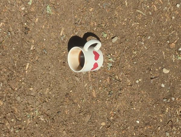 Jezra's coffee picture 2025-06-26