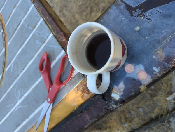 Jezra's coffee picture 2025-07-27