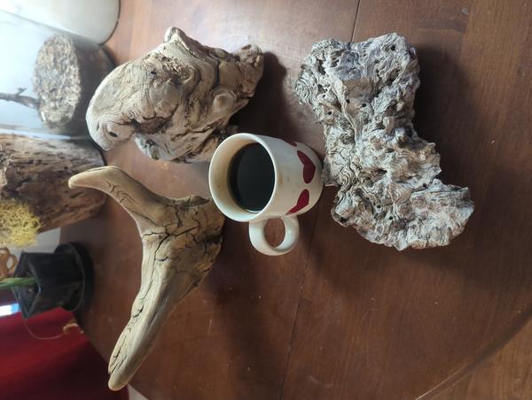 Jezra's coffee picture 2025-08-14