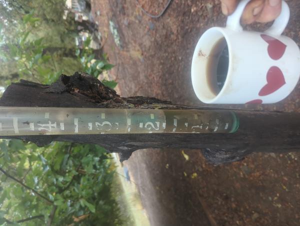 Jezra's coffee picture for 2025-10-03