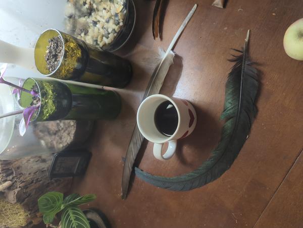 Jezra's coffee picture for 2025-10-04