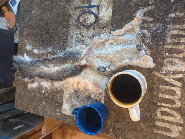 Jezra's coffee picture for 2025-10-19