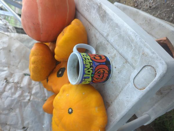 Jezra's coffee picture for 2025-10-31