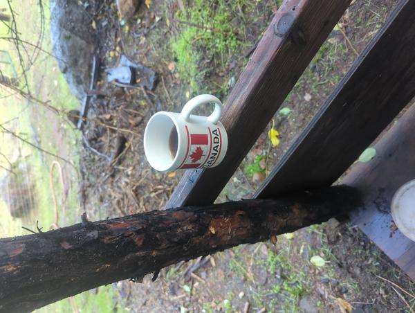 Jezra's coffee picture for 2025-11-14