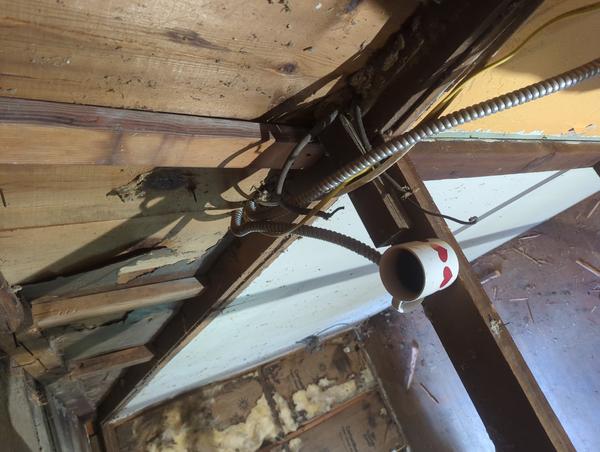 Jezra's coffee picture for 2025-11-17