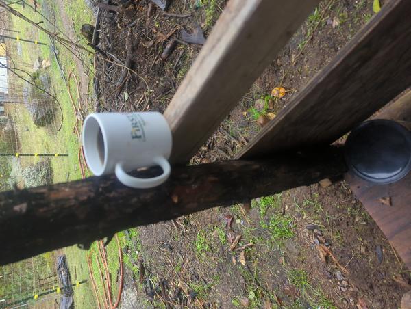 Jezra's coffee picture for 2025-11-20