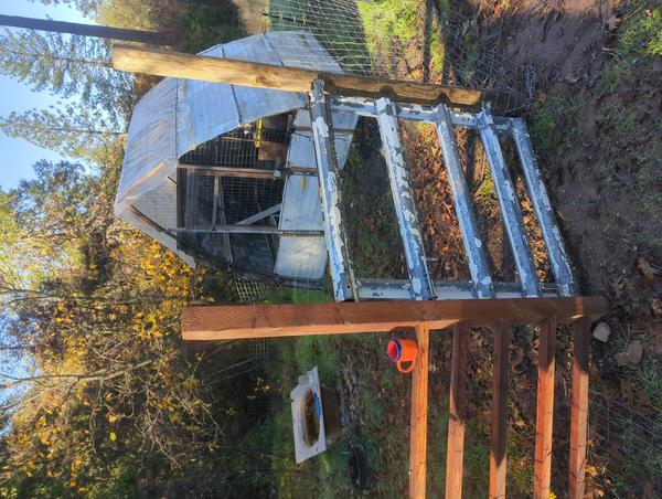 Jezra's coffee picture for 2025-11-22