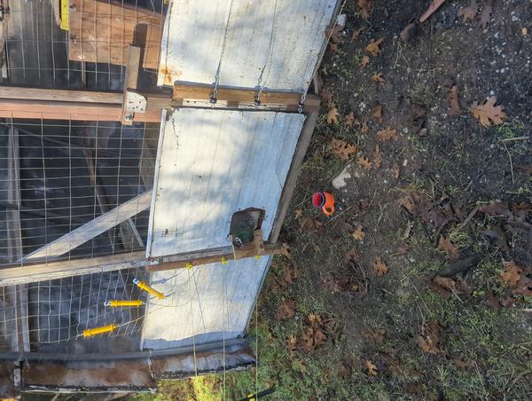 Jezra's coffee picture for 2025-11-24