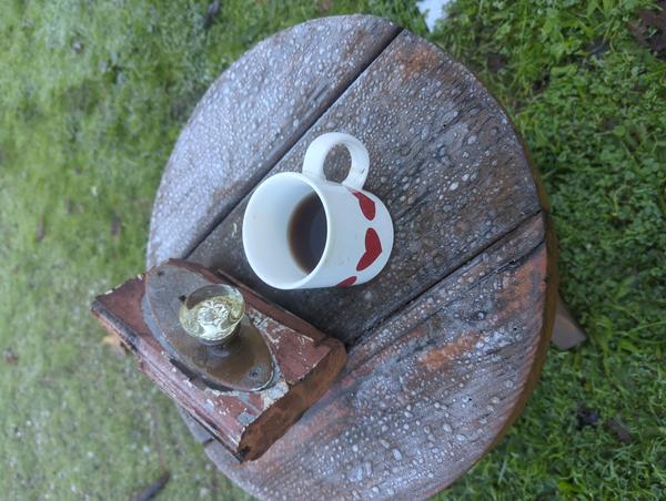 Jezra's coffee picture for 2025-11-25