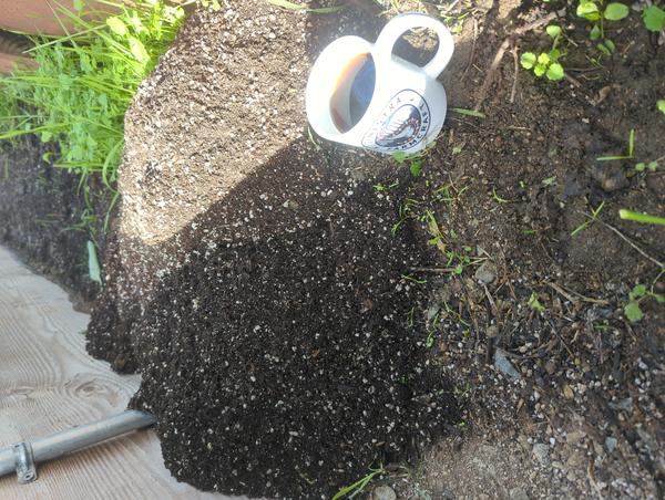 Jezra's coffee picture for 2025-11-27