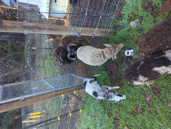 Jezra's coffee picture for 2025-11-28