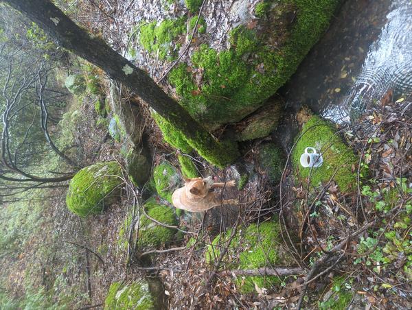 Jezra's coffee picture for 2025-12-25