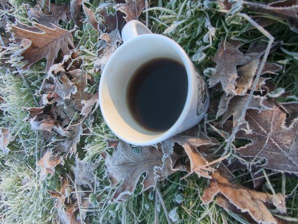 Jezra's coffee picture for 2025-12-28